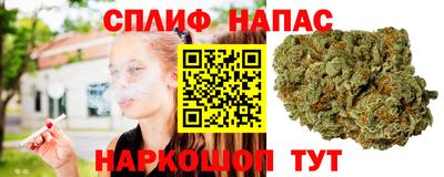 Альфа ПВП Кингисепп