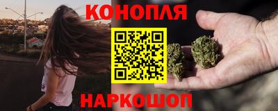Альфа ПВП Кингисепп