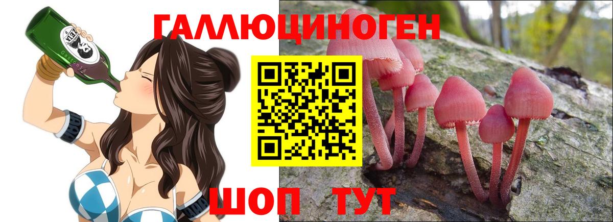 Буйнакск  Псилоцибиновые грибы Cubensis  Вход с VPN 