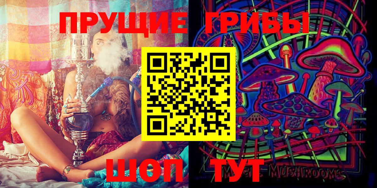 Псилоцибиновые грибы Psilocybine cubensis Буйнакск