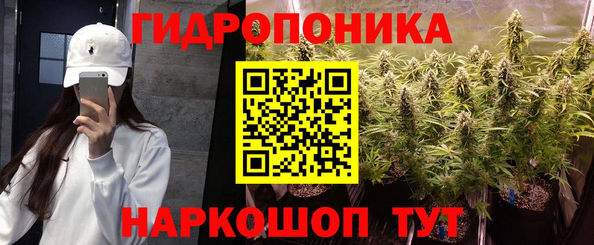 Буйнакск  Конопля VHQ  Бошки марихуана AK-47  Вход с VPN  Шишки марихуана ГИДРОПОН  Марихуана Bruce Banner 